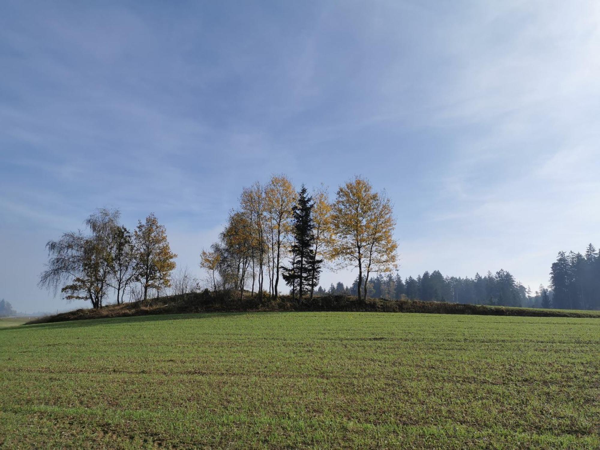 Kindererlebnis- Und Biobauernhof Hipp-Bruckner Wornharts Luaran gambar